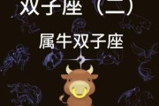 怎么追属牛双子女_属牛双子女喜欢什么样的男生
