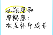 魔羯座和水瓶座相处之道_如何让差异变默契