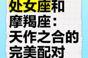魔羯座和处女座配吗_性格互补还是冲突