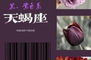 花之天蝎座适合什么花_天蝎座幸运花有哪些