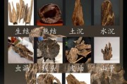 双鱼堡沉香是什么_双鱼堡沉香怎么鉴别真假