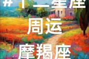 魔羯座运势_魔羯座2024年运势详解