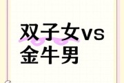 双子女怎么吸引金牛男_如何让金牛男爱上双子女