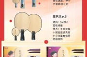 红双喜和双鱼哪个好_乒乓球拍选购指南