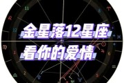 金星魔羯12宫代表什么_如何提升爱情运势