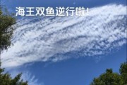 海王双鱼5_海王双鱼5真的适合恋爱吗