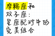 魔羯座和双子座适合做朋友吗_相处难点在哪