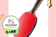 双鱼乒乓球网正品价格_如何挑选合适型号
