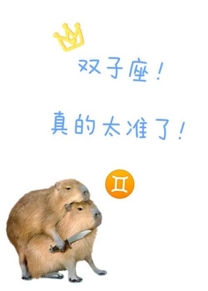 双子女偏爱魔羯女吗_双子女和魔羯女合得来吗