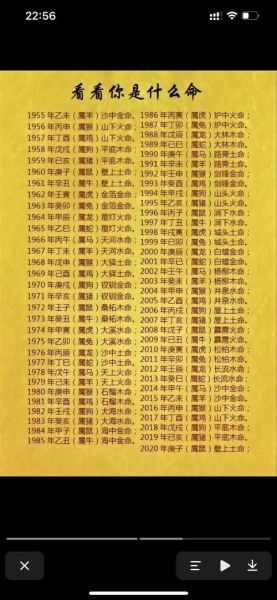 生肖龙天蝎座性格特点_适合职业