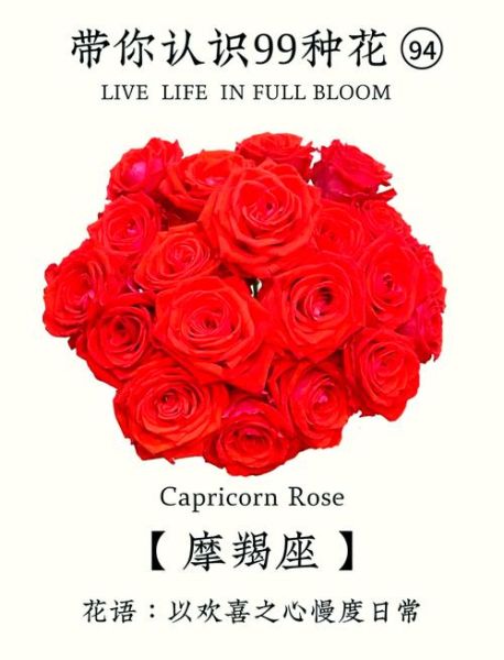 魔羯女适合什么花_魔羯座女生送花推荐