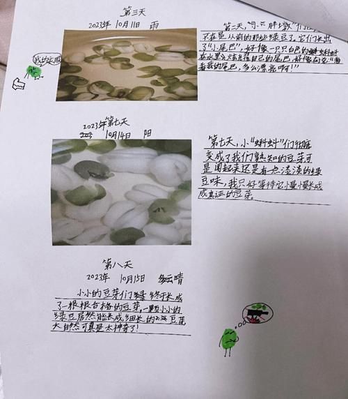 天蝎座豆芽怎么种_天蝎座豆芽几天发芽