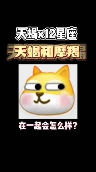 魔羯撕天蝎_谁更绝情