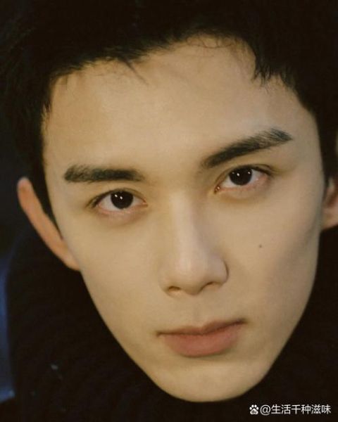 魔羯男明星有哪些_魔羯座男星性格特点