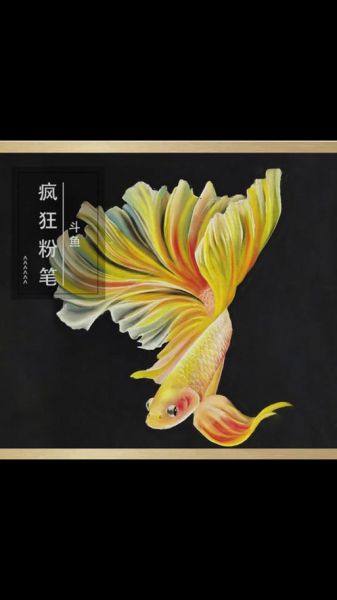 双鱼的锦鳞怎么养_锦鳞褪色了怎么办
