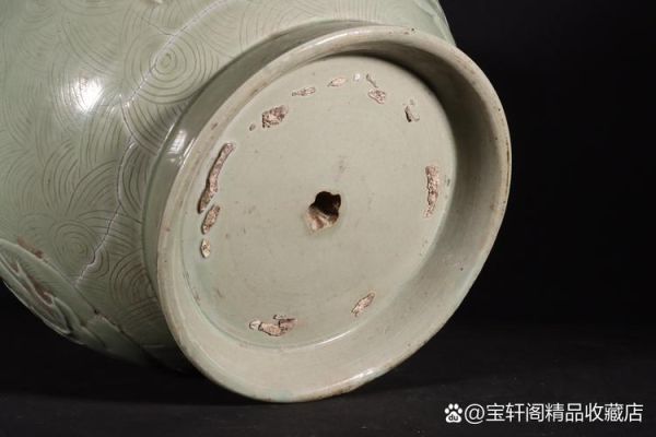 魔羯小小虾是什么_魔羯小小虾怎么养