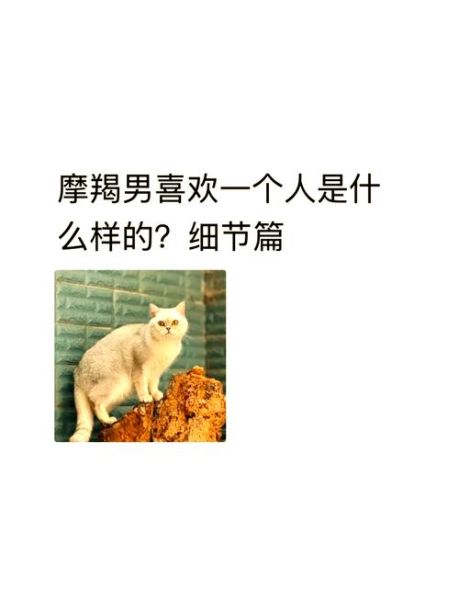 魔羯男很温柔夸你好看_是真的喜欢你吗