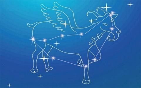 魔羯猎人是什么_魔羯猎人怎么玩