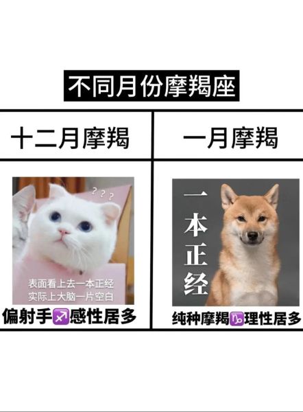 魔羯跟魔羯谁厉害些呢_性格实力大比拼