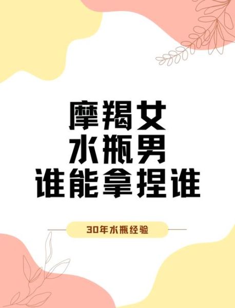 魔羯女水瓶男工作伙伴_如何高效协作