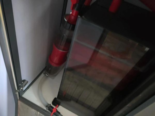 装双鱼用什么鱼缸_养双鱼要注意什么