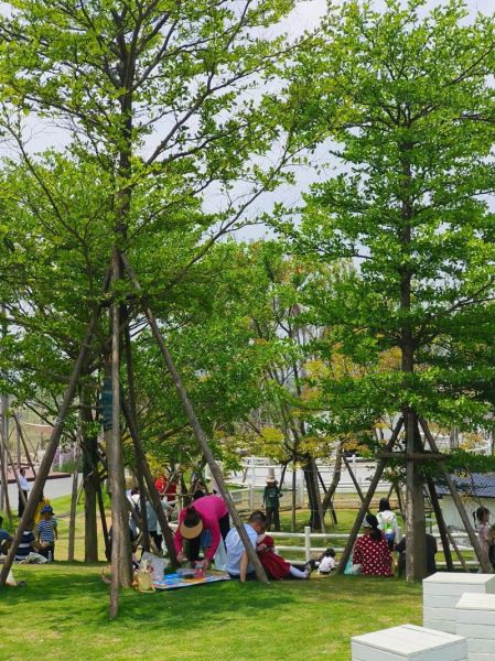 迪拜双鱼岛怎么去_迪拜双鱼岛门票多少钱