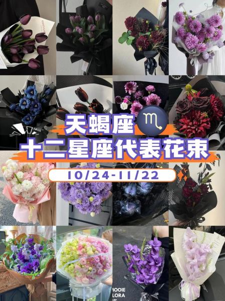 天蝎座女生喜欢什么礼物_天蝎座女生礼物推荐