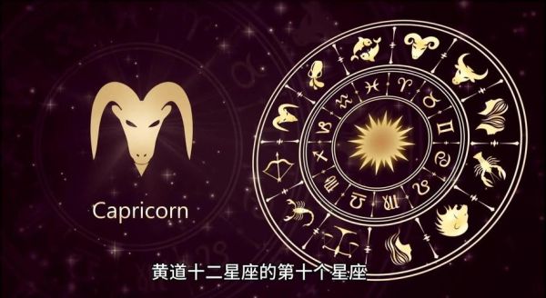 魔羯座属羊的性格特点_适合什么职业