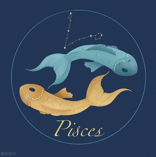 黑化双鱼眼神_如何识别与应对