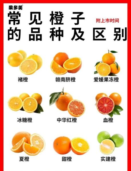 魔羯橙是什么_魔羯橙怎么种