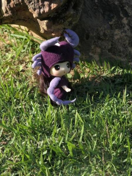 天蝎座棉花娃娃哪里买_天蝎座棉花娃娃多少钱