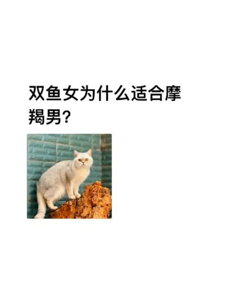 摩羯男配双鱼女合适吗_摩羯男双鱼女相处技巧