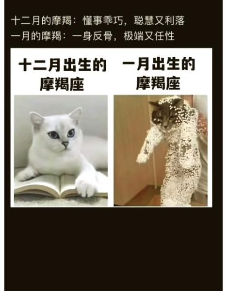 魔羯老是什么意思_魔羯老和摩羯座的区别