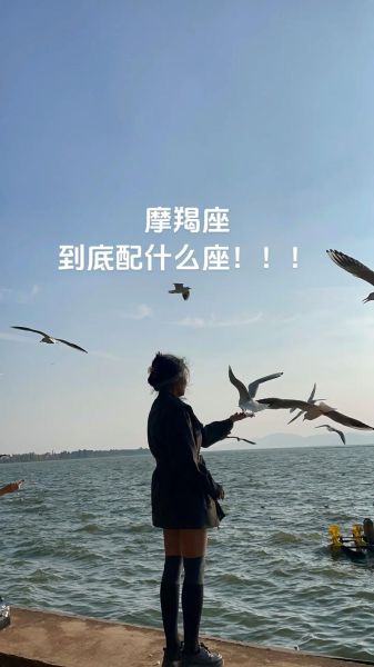 魔羯大鱼是什么_魔羯大鱼怎么养