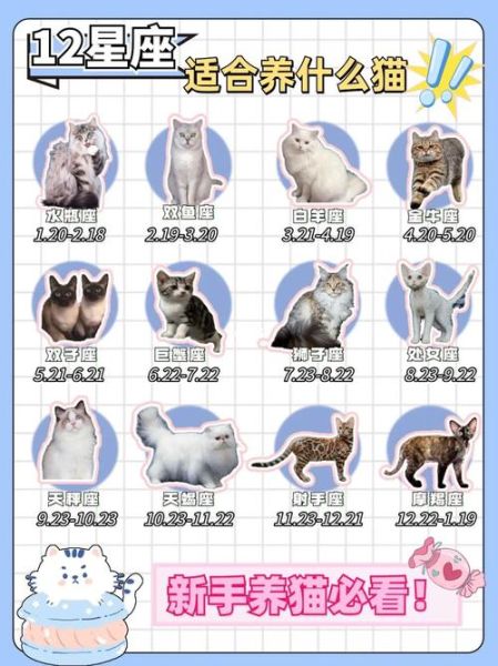 天蝎座适合养什么宠物_天蝎座适合养猫还是狗