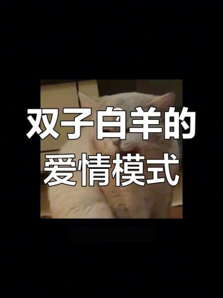 双子女遇白羊女会吵架吗_如何相处