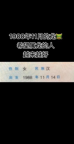 属龙双子女幽默吗_属龙双子女性格特点