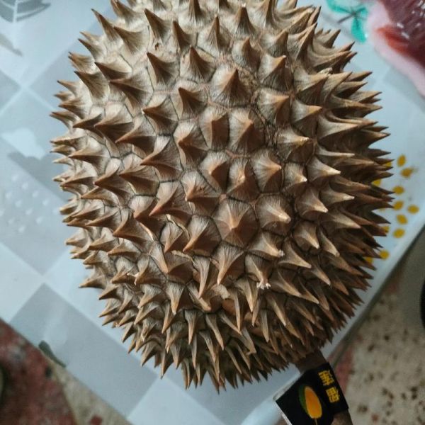 魔羯座适合什么水果_魔羯座吃什么水果最旺运