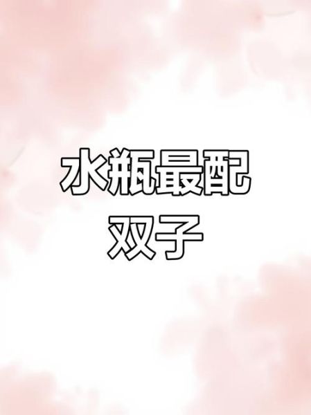男双子_女水瓶配对指数高吗
