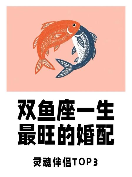 羁绊卡双鱼怎么用_羁绊卡双鱼值得抽吗