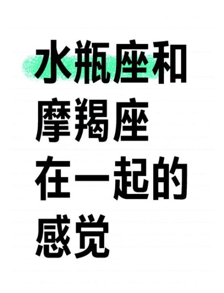 魔羯座和水瓶座适合做夫妻吗_如何相处更长久