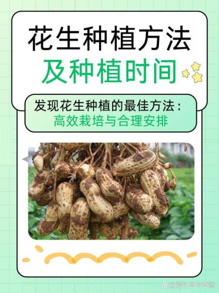 魔羯开垦_适合种什么作物