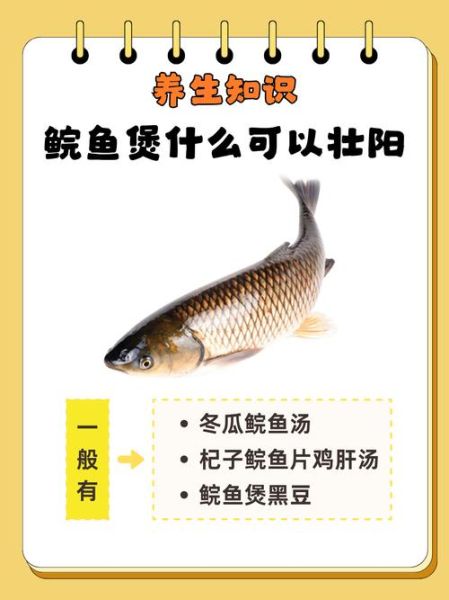 双鱼仁是什么_双鱼仁有哪些功效与作用