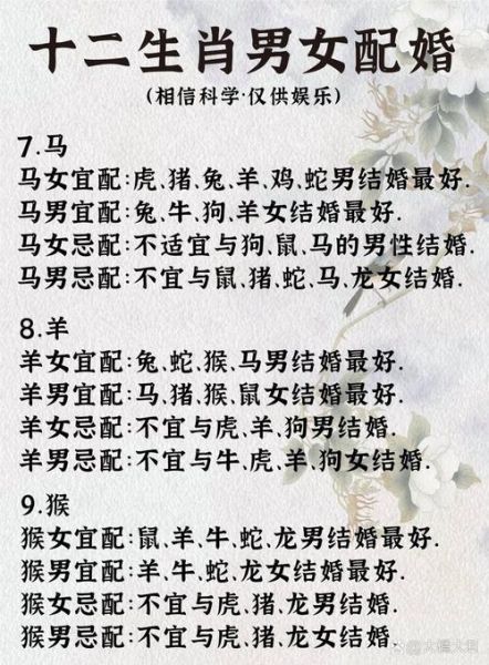 属鸡男属马双子女配对吗_如何相处更和谐