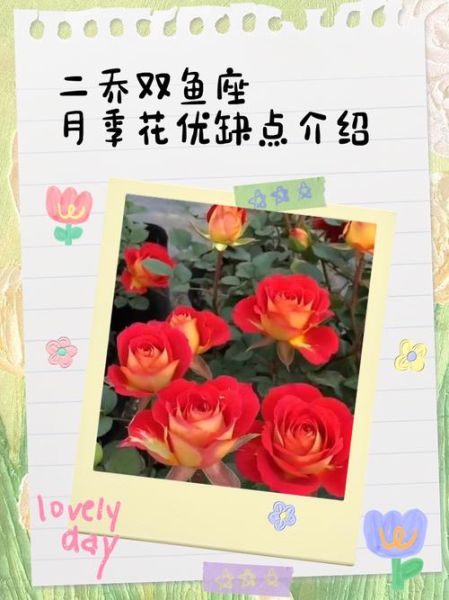双鱼座守护花是什么花_双鱼座幸运花语