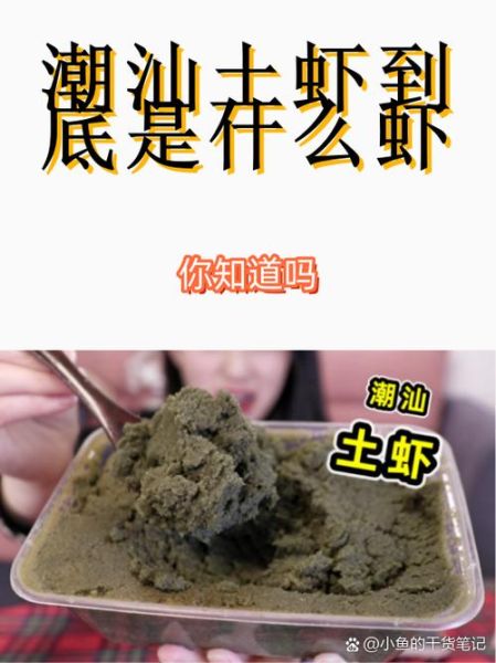 魔羯虾是什么虾_魔羯虾和普通虾区别