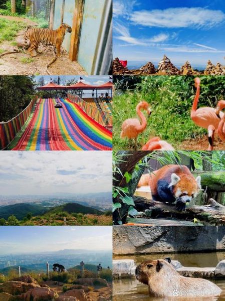 天蝎座昆明哪里玩_天蝎座昆明约会去哪