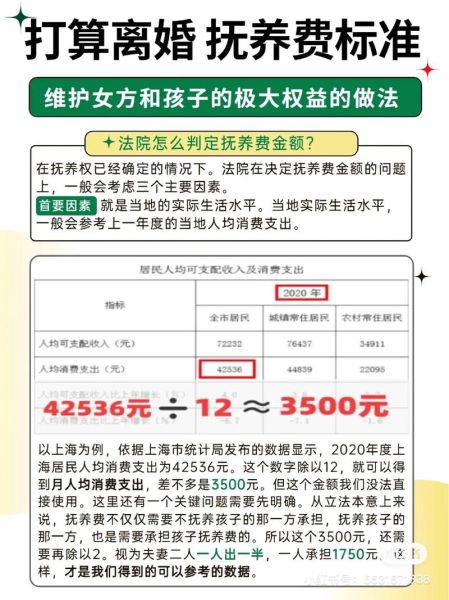 离婚双子女抚养权怎么判_抚养费标准是多少