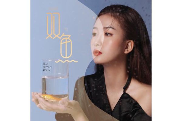 飞碟唱双鱼是什么意思_飞碟唱双鱼歌词解析