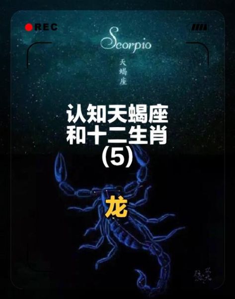 属龙的天蝎座男人性格特点_如何相处